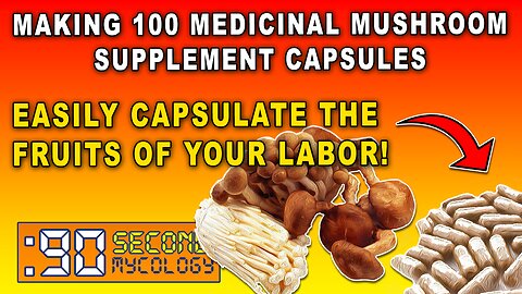 Making 100 Microdose Mushroom Capsules \\ Nomad Capsule Filler