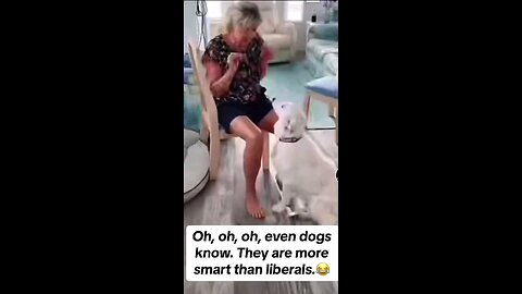 Good dog! Smart too!