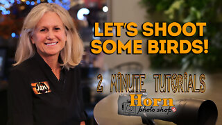 HORN PHOTO 2-Minute Tutorial BIRDS IN FLIGHT