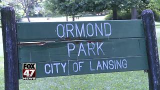 Local group has concerns over park millage funds for Ormond Park