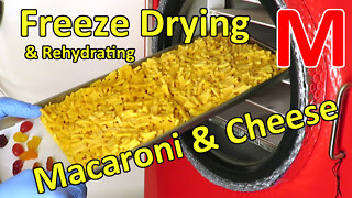 Freeze Drying Macaroni & Cheese