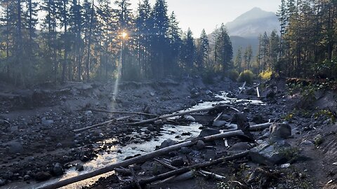 SAFETY TIPS CROSSING RAGING SANDY RIVER @ Ramona Falls Loop! | 4K | Timberline | Mount Hood | Oregon