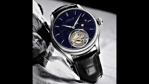 Aesop Men's Luxury Tourbillon Mechanical Man Watch