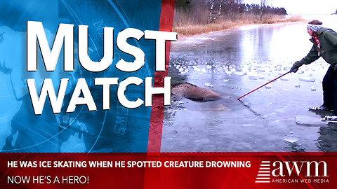 He Was Ice Skating When He Spotted Enormous Creature Drowning. Now He’s A Hero