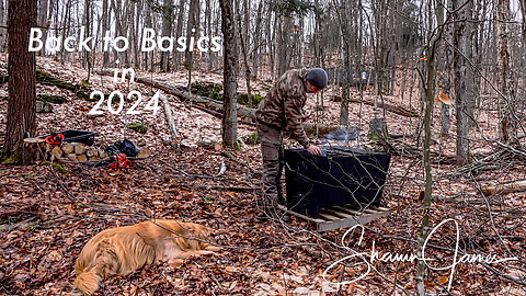 Clearing Forest for New Buildings, The Chainsaws I Use and Preparing for Maple Sugar Season