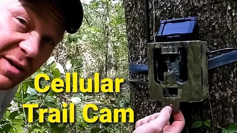 Cellular Trail Camera 📸 🦌 | SPYPOINT LINK-S-DARK