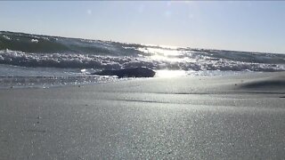 Red Tide is a concern for beach goers