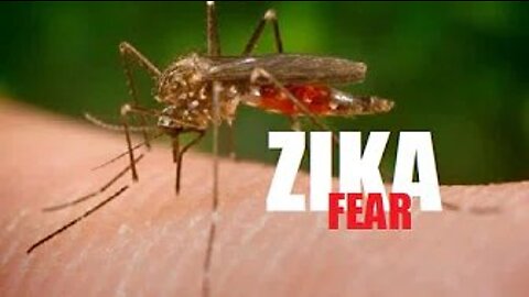 Zika Hype Spreading Panic Pandemic - #NewWorldNextWeek