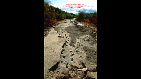 Lone Ranger Dinosaur Trackway