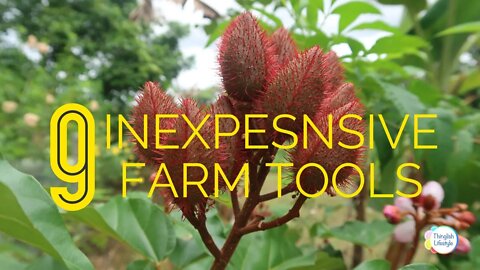 9 Inexpensive Farm Tools
