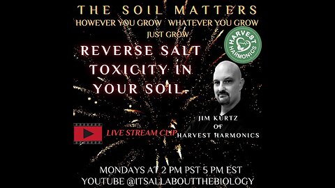 Reverse Salt Toxicity In Your Soil