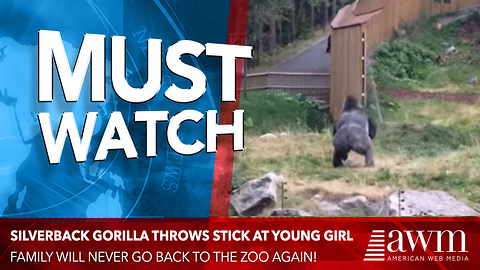 Gorilla Throws THIS At A Young Girl, And Her Family Won't Be Back Anytime Soon..