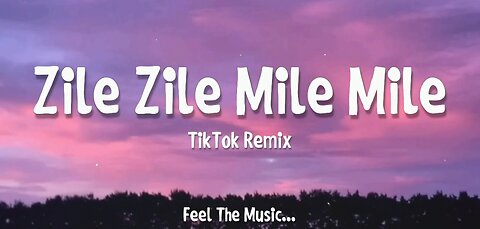 Zile Zile Mile Mile TikTok Remix Song