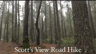 Scotts View Road Walk