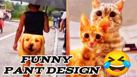 Funny Man and Cats 🤣🤣 Funny man's half-pants design 🤣🤣