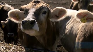 Slinger family stays connected to agriculture community to save lives