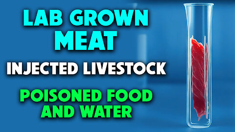Lab Grown Meat, Injected Livestock, Poisoned Food and Water 04/12/2023