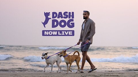 Get ready to chase fun with Dash Dog! NEW BRAND exclusively at HUFT