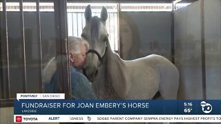 COMMUNITY RALLIES TO SUPPORT JOAN EMBERY'S HORSE