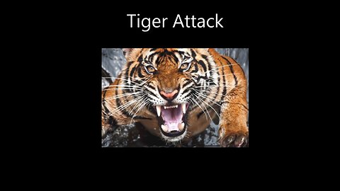 Top Tiger Attack with Sound