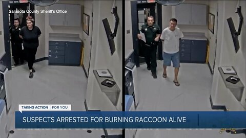 2 arrested in Sarasota after outcry over viral video that showed raccoon being burned alive: Sheriff
