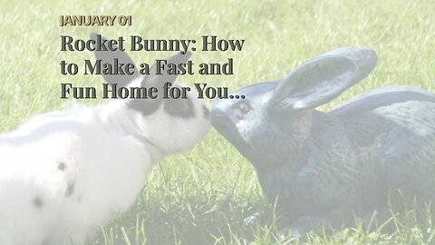 Rocket Bunny: How to Make a Fast and Fun Home for Your Bunny