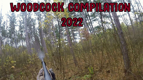 Woodcock Compilation 2022