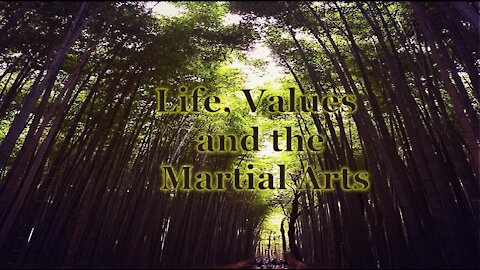 Life, Values, and the Martial Arts (part 1)