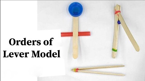 Orders of Lever Model | Rumble | #Shorts #DIY #DIYScience