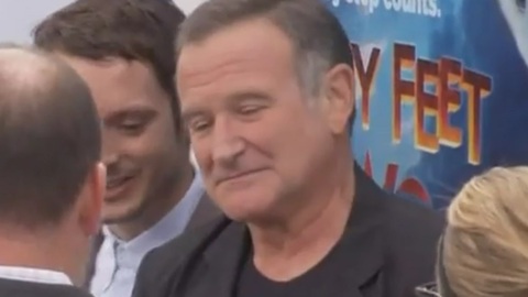 Robin Williams in rehab