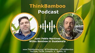 PodCast 🎙️ Juan Pablo Martinez, Wübu Bamboo in Guatemala