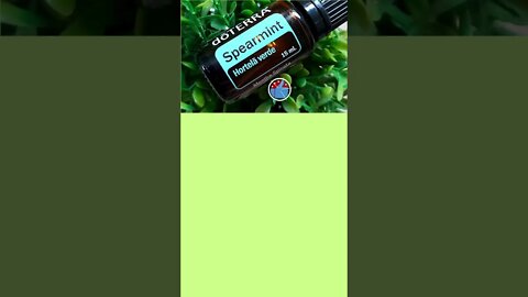 doTERRA® Brasil Spearmint Experimente o aroma doce e refrescante do óleo essencial