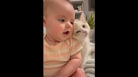 Watching This Cute Kitten Is New Kind Of Addictive | Cute Animals Compilation