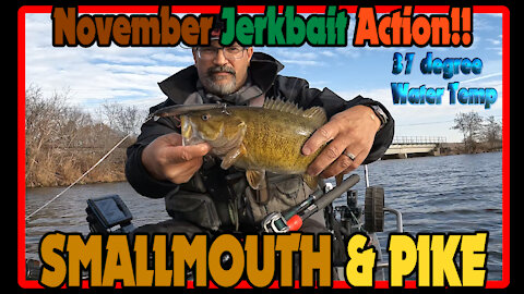 November Cold Water (37 Degrees) Jerkbait Kayak Fishing with the Native Slayer Max 12.5