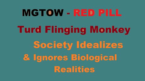 Turd Flinging Monkey on how we IDEALIZE the SOCIETY we WANT, NOT REALITY. - MGTOW