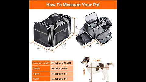 BERTASCHE Cat Carrier, Pet Carrier Airline Approved 4 Sides Expandable Dog Carrier, Soft-Sided...