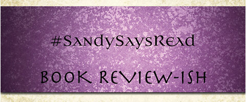 Rayden Valkyrie Tales Book Review