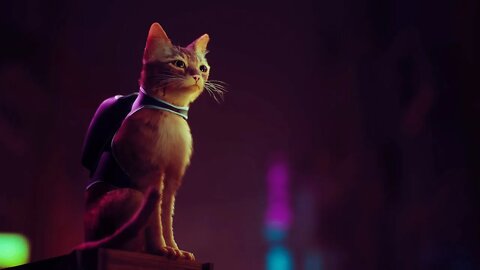 FIRST LOOK | STRAY A Post Apocolyptic Cyberpunk Game Where You Play As A Cat
