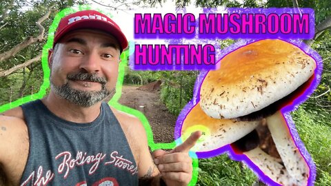 HUNTING FOR ACTIVE AND NON-ACTIVE MUSHROOMS IN THE JUNGLE OF COSTA RICA(Identifying magic mushrooms)