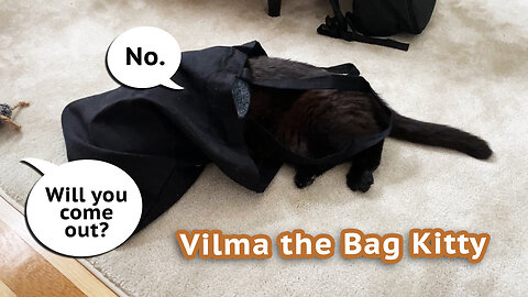 Vilma The Bag Kitty