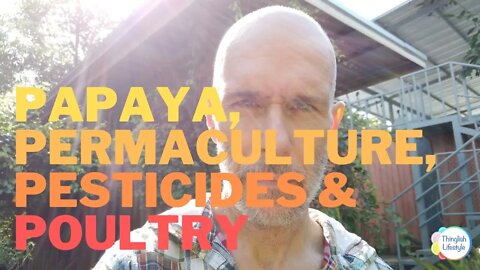 Papaya, Permaculture, Pesticides and Poultry