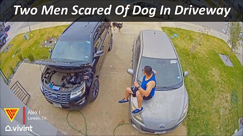 Two Men Scared Of Dog In Driveway Caught On Vivint Camera | Doorbell Camera Video