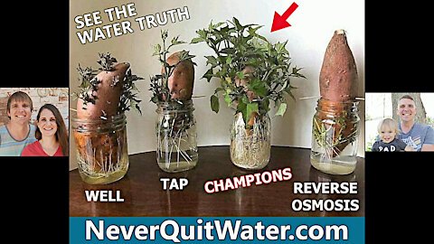 LIVING Water: NeverQuitWater.com - Champions Never Quit Show