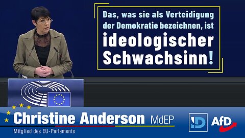 Das, was sie als 'Verteidigung der Demokratie' bezeichnen, ist ideologischer Schwachsinn!