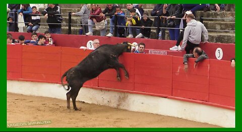 CORELLA ( NAVARRA ) MATINAL ENCIERRO Y VACAS PLAZA ( SABADO 22 ABRIL 2023 ) GANAD.EULOGIO