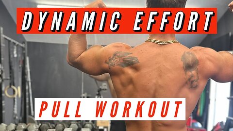 DYNAMIC EFFORT PULL WORKOUT | FULL CONJUGATE METHOD WORKOUT FOR INCREASING STRENGTH SPEED & SIZE