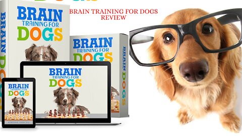 Brain Training For Dogs Review: Dont Buy Before Watching This