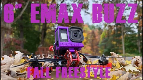 I Put 6" Props on my Emax Buzz 6s - Gloomy Fall Freestyle (Bonus Tree Landing)