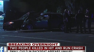 Two people killed in hit and run crash in Tampa