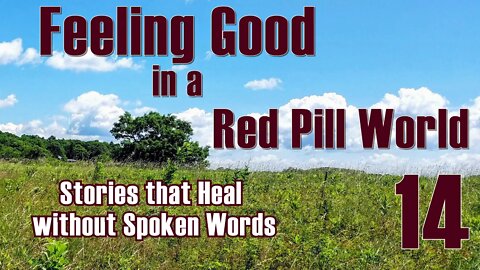 Feeling Good in a Red Pill World #14 Stories that Heal without Words